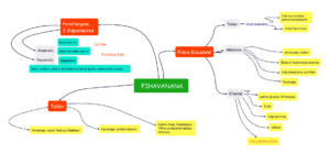 Lire la suite à propos de l’article Les actions de l’association fihavanana 2023